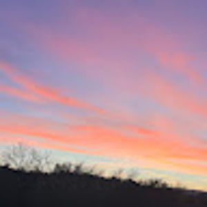 Meet your Posher, Lexi